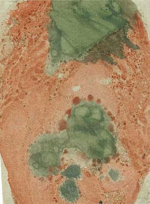 Митрохин Дмитрий Исидорович. Форзац 